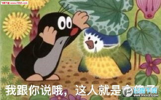 鼹鼠的故事表情包下载鼹鼠的故事表情图片下载飞翔下载