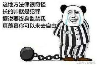 小篮车是否涉嫌犯罪共享单车已经停止了烧钱