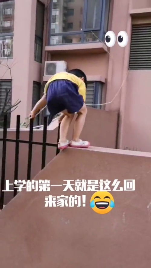 上学的第一天,幼儿的回家方式绝了,胆子可真大
