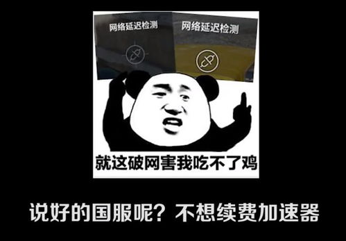 呸,今晚吃了只假鸡