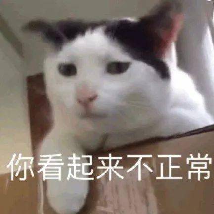 萌宠表情包带字图片困沙雕
