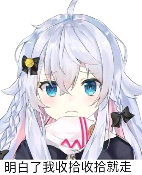 狗妈表情包八