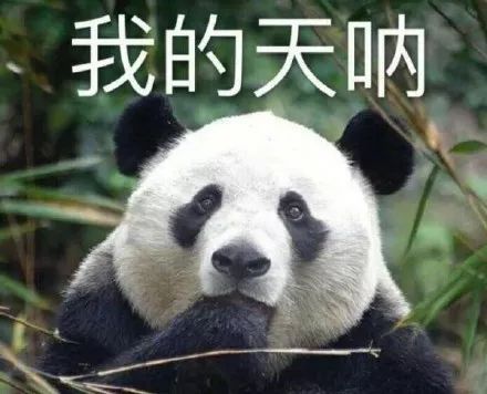 可爱的熊猫表情包合集
