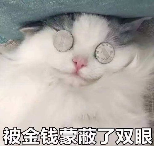 天津车展,比亚迪又搞事情了