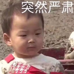 100个法考生,99个机考小白