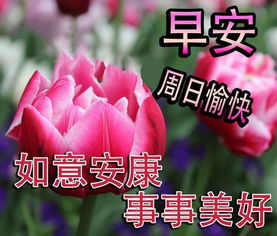 周日早晨好问候语动态图片大全周日祝福语录