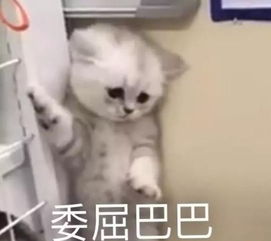 大腿粗的原因是什么怎样才能快速瘦腿