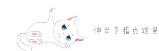 天气之狗100出现在恶劣天气的柴犬,为遛弯连台风都无法阻拦