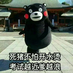 dwj99的喜欢lofter乐乎让兴趣,更有趣