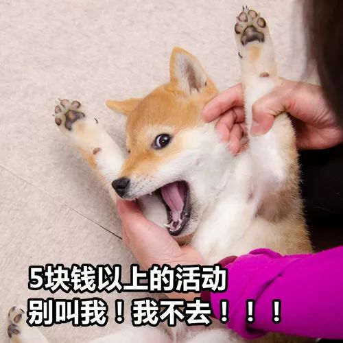 有的人虽然双11破产了,但依旧是表情包大户