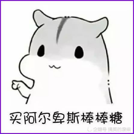 表情小仓鼠表情包壁纸甜到爆把你卖了买糖吃,买阿尔卑斯棒棒糖...表情