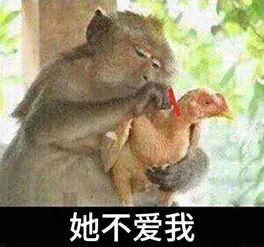 从没见过这么玻璃心的宠物,一言不合就自杀......