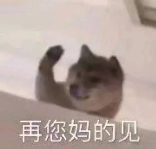 微信群聊天表情包图片真让人害怕,不说了,要工作了