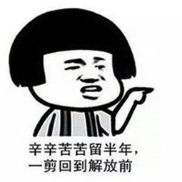十条段子妈妈你这么听话,家庭地位会保不住的