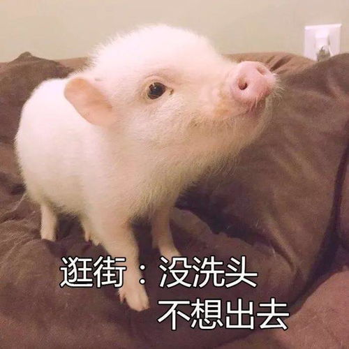 我不想出门的原因..
