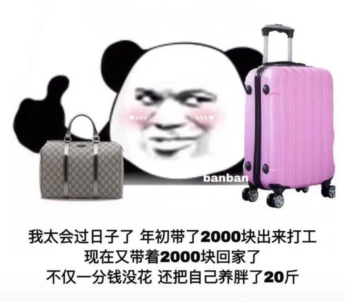 无内鬼,抓紧收图