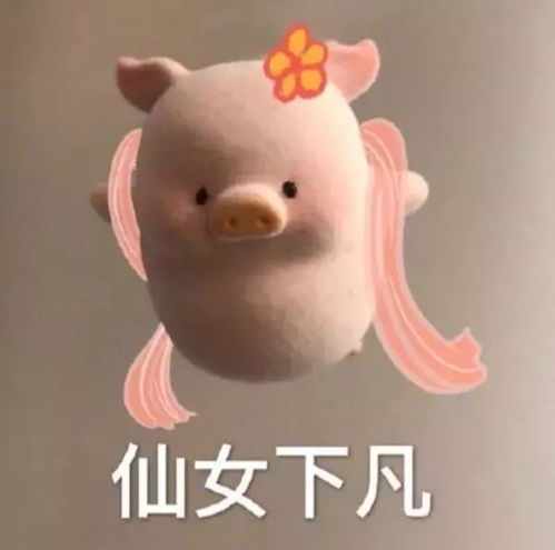 表情包丨我告诉自己再熬一熬