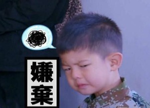 林俊杰查房pdd化身音乐导师夸骚猪唱歌真诚