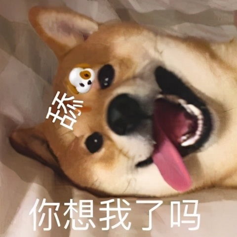 斗图表情包合集不知该哭还是该笑