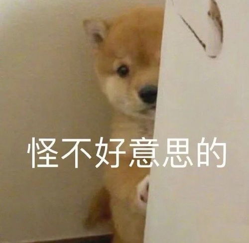 常用可爱表情包