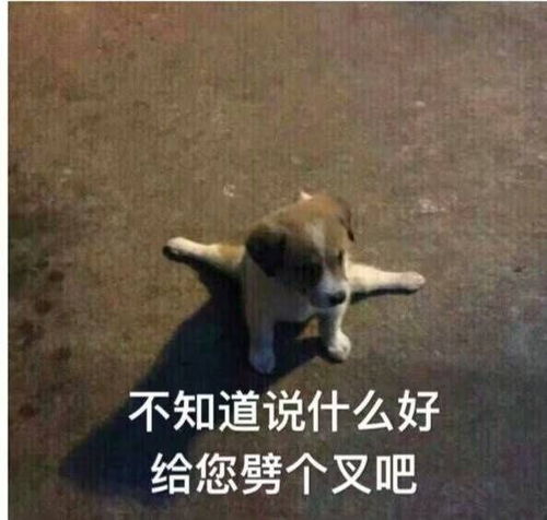 男朋友不会拍照还能换,看了爸妈给自己拍的照,哇的一声哭出来