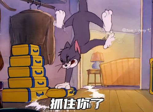 像不像你对象当初哄你的样子猫和老鼠表情包艾特你想艾特的人