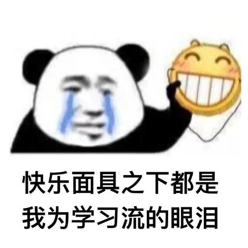 考研人为了上岸能有多拼冲刺头像用起来