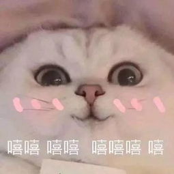 云门山双十一放大招啦特惠亲子套票今日火爆开抢,59.9一大一小,满满都是优惠