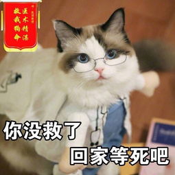 什么是21天减肥法,真的有这样的减肥方法吗