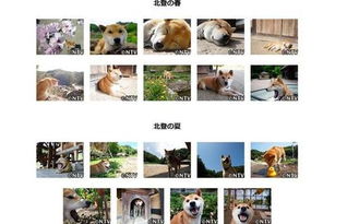 日网友哀悼表情包柴犬逝世手机新浪网