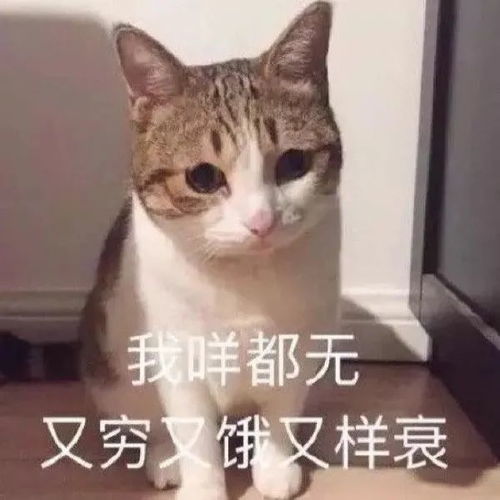 兼职招聘今天不想给你讲道理,就想和你一起打工
