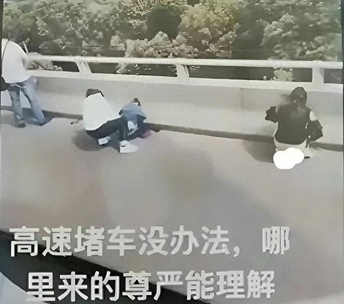 高速拥堵多名女子当众脱裤小便,只要我不尴尬,尴尬的就是别人