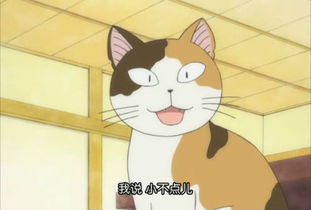 甜甜私房猫的名字来源