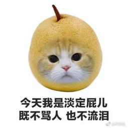 芹菜青