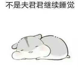 表情包可爱仓鼠我老婆