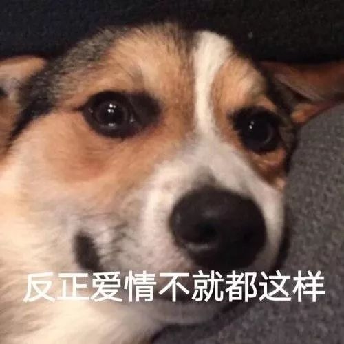 我出门找不到手机,突然嚎啕大哭,老公竟然说我矫情