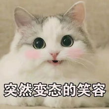 弱小无助还骚表情包