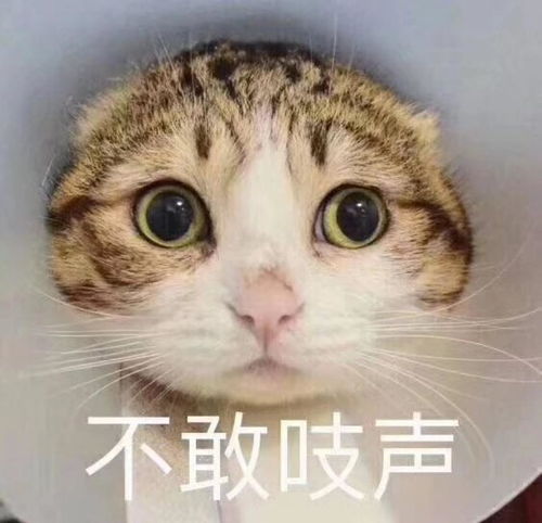 幽默笑话传递正能量现在这样的好人已经不多了