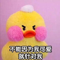 可爱鸭图片,当头像,微信背景图,表情包,都没有问题