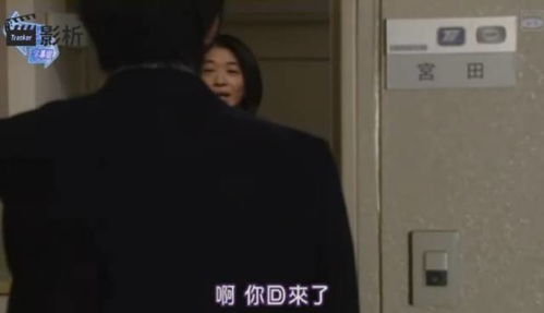 励志电影马拉松全解析带着永不放弃的心,永不认输多图