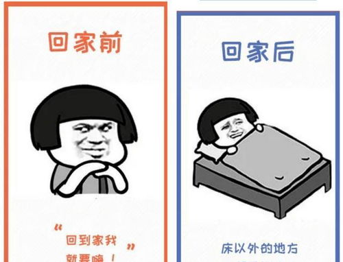 网友用表情包诠释大学生回家前后,对比图逗乐网友这也太真实了