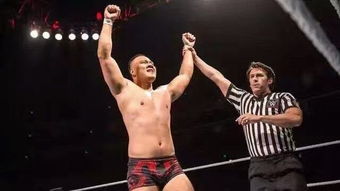 wwe摔跤手表情包王彬