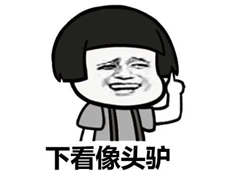 表情包反正不管怎样都能把自己美哭