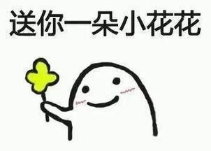 给花花的表情包送你一朵花