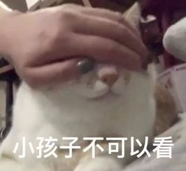 春季日剧完结周是腐女迎来了春天