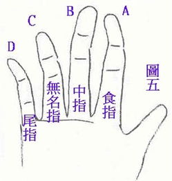 通过手指阅人的方法步骤