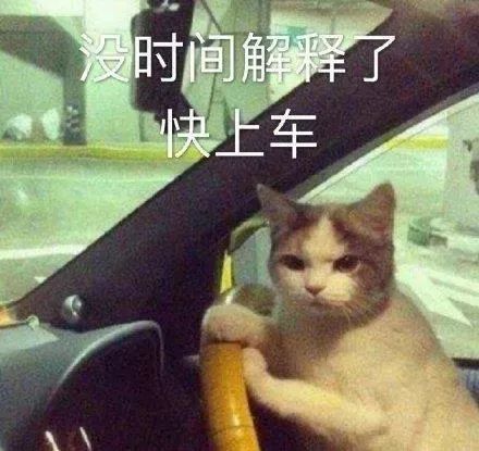 沙雕表情教大家一句英语腾讯新闻