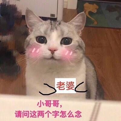 撩妹教科书,宣威小哥哥赶紧get起来
