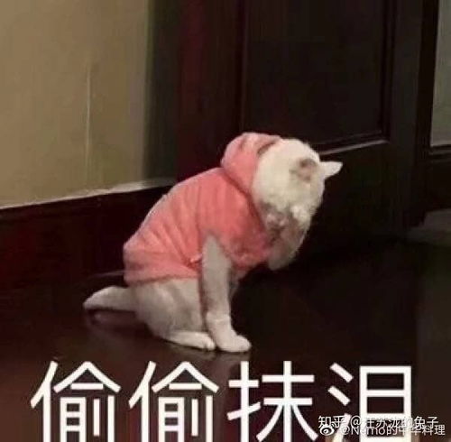 有没有那种情侣接吻然后远处有一直狗狗点照片