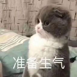 请药大男生回答一下100斤铁和100斤女生哪个更重